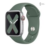 Silicone classique foncé pour bracelet Apple Watch